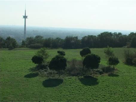 Moers : Halde Rheinpreussen, Blick von der Halde auf den Moerser Fernmeldeturm